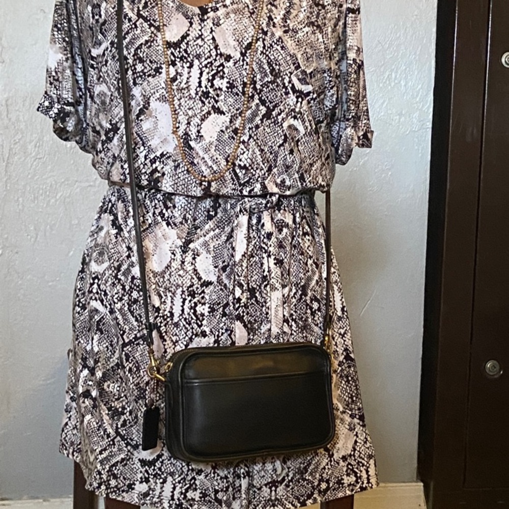 Vintage Coach Carnival